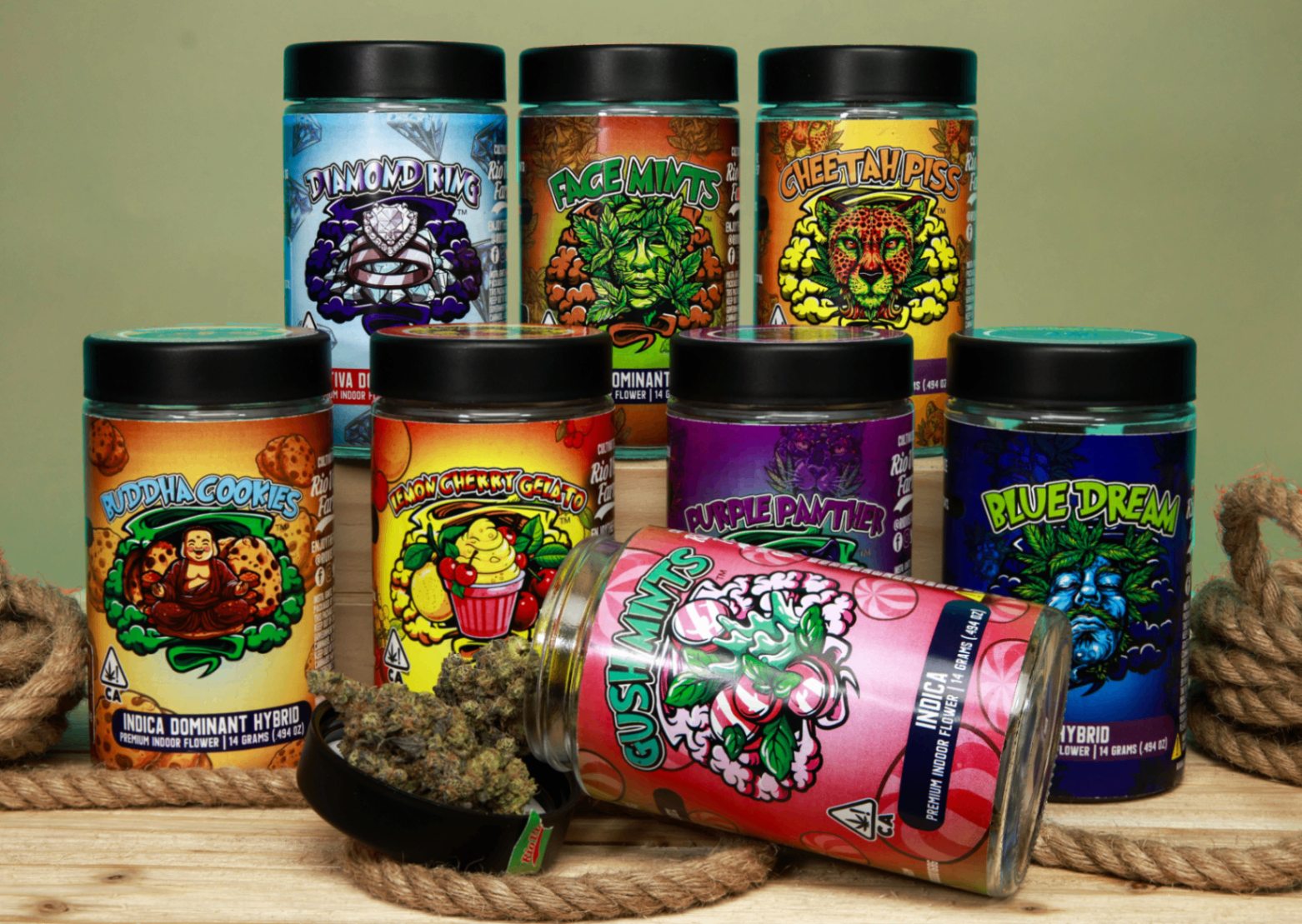 Rio Vista Farms Jars