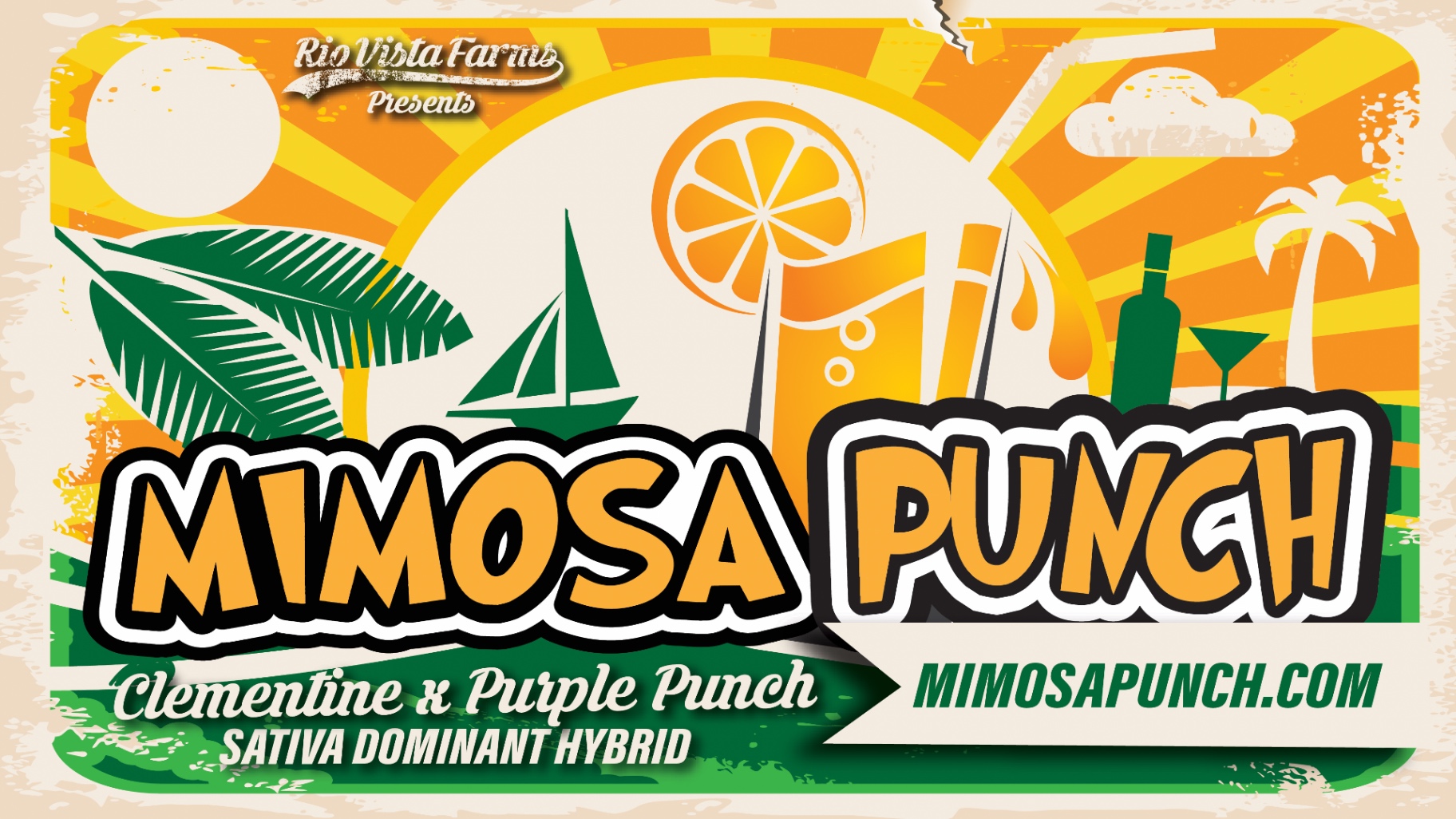 Mimosa Punch
